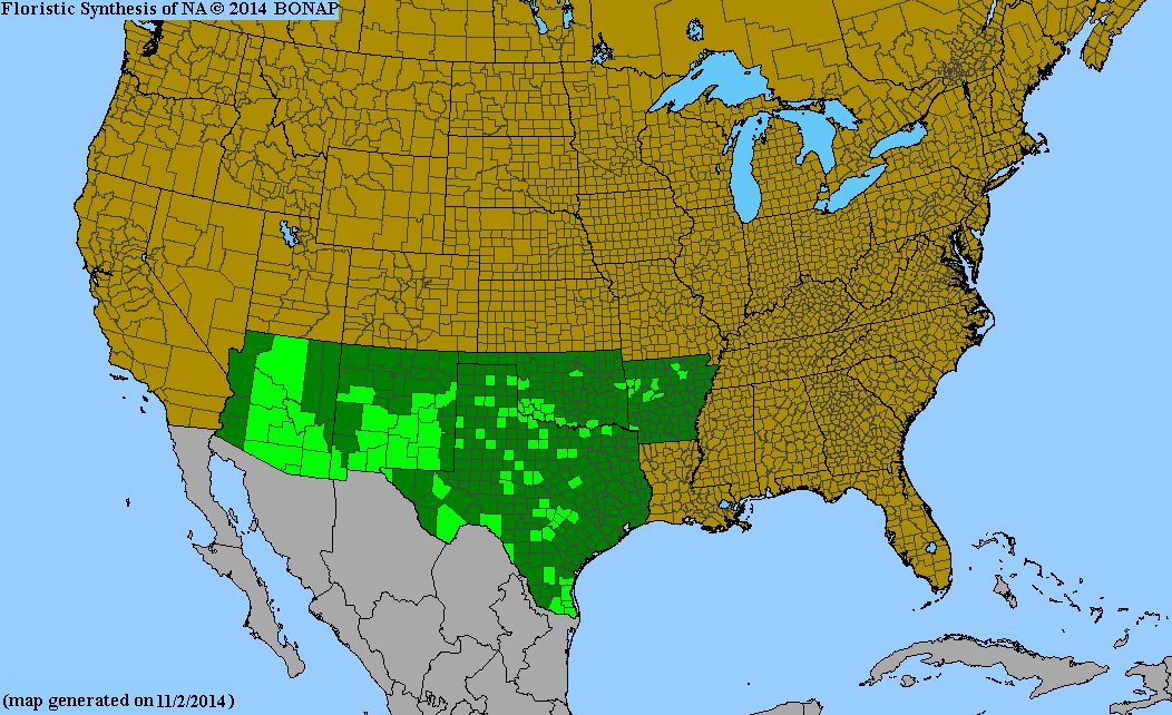 County distribution map of Funastrum cynanchoides ssp. cynanchoides - Fringed Twinevine